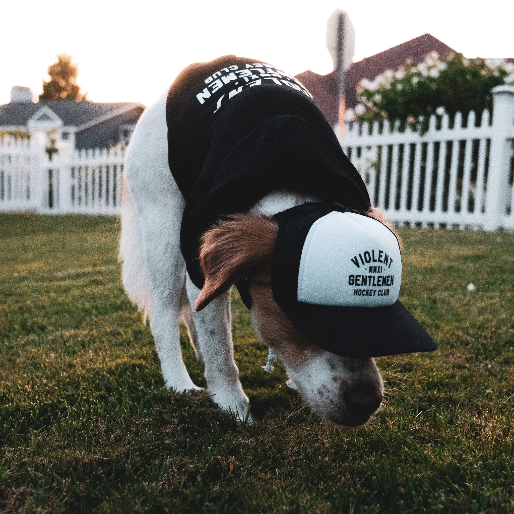 Loyalty Pet Foam Trucker
