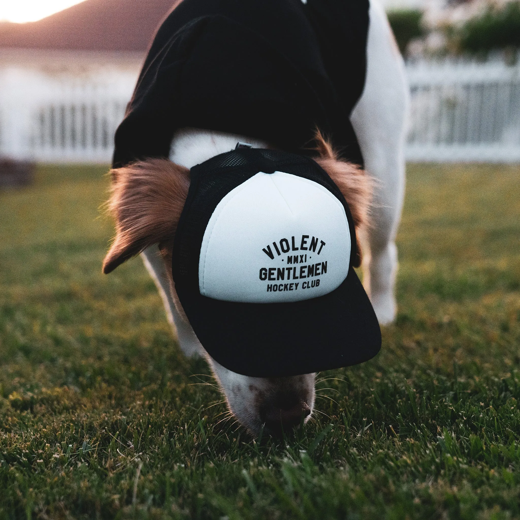 Loyalty Pet Foam Trucker