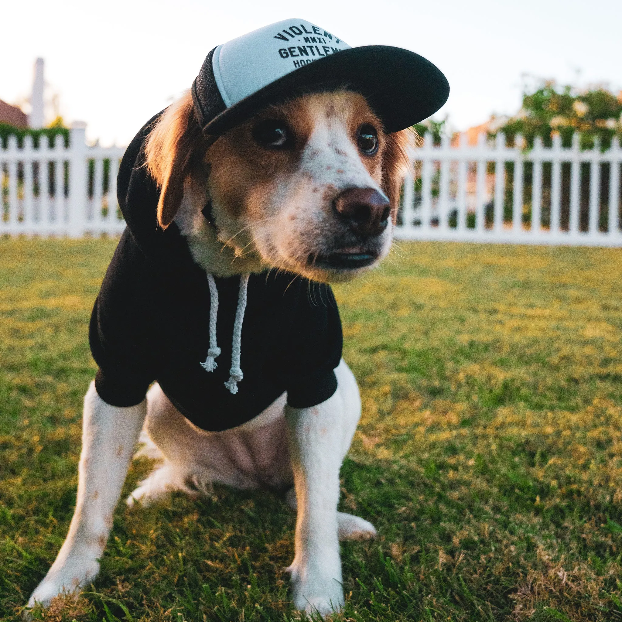 Loyalty Pet Foam Trucker